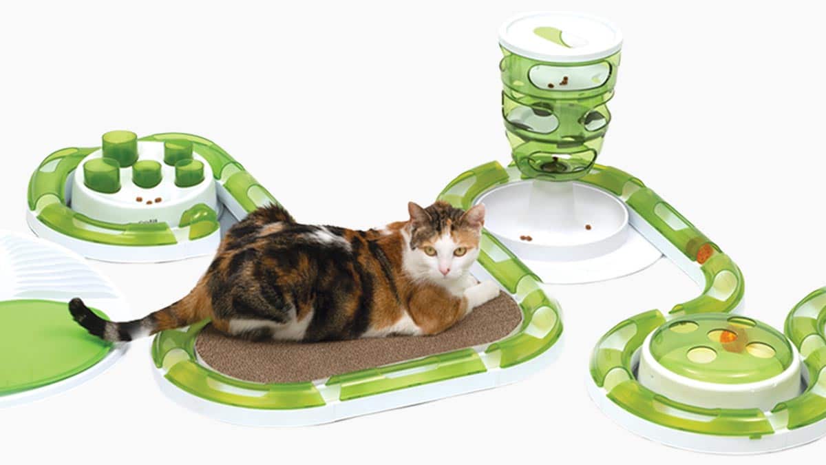 Newest Cat Toys, Treats & Other Products